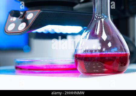 Round flask with colored liquid or blood sampleon the table in a modern laboratory with a microscope on the background. Stock Photo