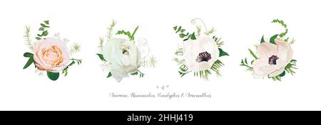Vector elements, bouquets collection of Pink white garden rose anemone ranunculus flowers green eucalyptus and mix of seasonal plants herbs Big vector Stock Vector