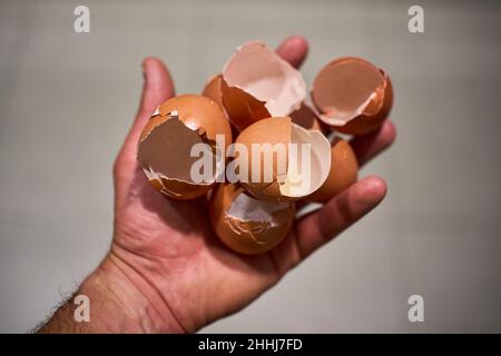 Hand with a handful of broken eggshells Stock Photo