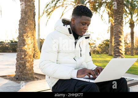 Focused African American freelancer sitting on bench in park and browsing laptop while working remotely on sunny day Stock Photo