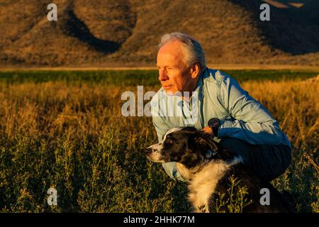 USA, Idaho, Bellevue, Senior man with border collie in field at sunset Stock Photo
