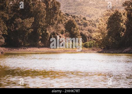 Deir El Qamar village beautiful green landscape and old architecture in mount Lebanon Middle east Stock Photo