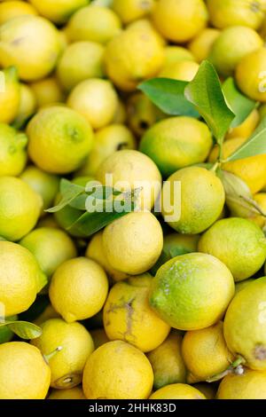 Full frame pile of fresh lemons with green leaves placed on stall in local market with bright sunlight on summer day Stock Photo