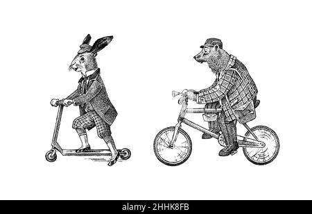 Brown bear rides a bike. Hare or rabbit on a scooter. Antique gentleman in a cap and coat. Victorian Ancient Retro Clothing. A man on a cycle. Vintage Stock Vector