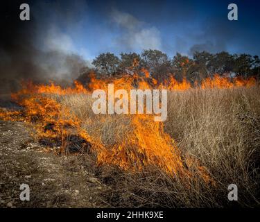 Joint Base San Antonio’s Natural Resources Office, Fire & Emergency Services, and Air Force Wildland Fire Branch officials conduct a prescribed burn, Jan. 19, 2022, at Joint Base San Antonio-Camp Bullis, Texas. The process will focus on more than 1,700 acres of wildlands on JBSA-Camp Bullis from Jan. 18-26. The burn is intended to reduce fuel loads, such as dead vegetation and thick brush, which will lessen the risk of future, potentially catastrophic, wildfires. Joint Base San Antonio Fire Emergency Services personnel coordinated with the Bureau of Land Management, the Fish and Wildlife Servi Stock Photo