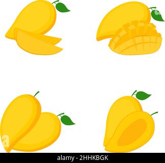 Mango, whole fruit, slices, vector illustration Stock Vector