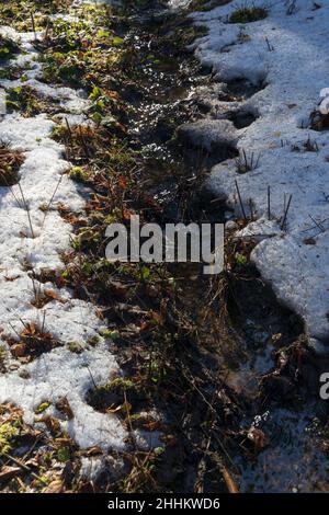 Spring landscape with a shining stream and melting snow in the sun vertical orientation Stock Photo