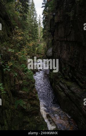 Mountain river near Kamienczyk Waterfall in the Polish Sudetes near the town of Szklarska Poreba. Stock Photo