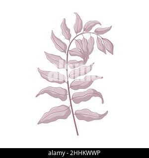 Single grey branch with leaves. Leaves isolated on white background. Hand drawn botanic illustration. Botanical vector art in cartoon style. Stock Vector