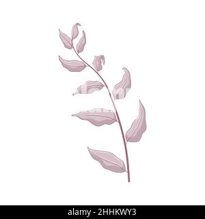 Single grey branch with leaves. Leaves isolated on white background. Hand drawn botanic illustration. Botanical vector art in cartoon style. Stock Vector