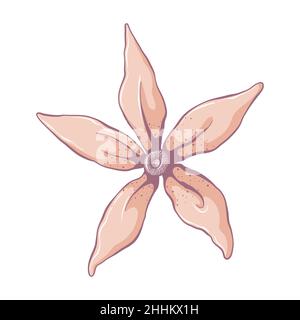 Single yellow flower. Flower head isolated on white background. Hand drawn floral illustration. Botanical vector art in cartoon style. Stock Vector