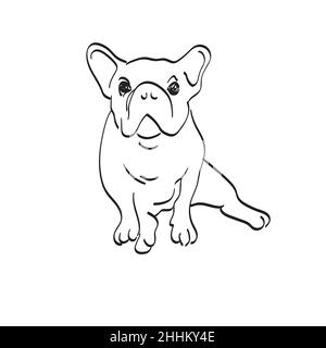 bulldog sitting illustration vector hand drawn isolated on white background line art. Stock Vector