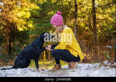 Female dog trainer with her black labrador retriever teaching her to give a paw outside in beautiful sunlit forest. Stock Photo