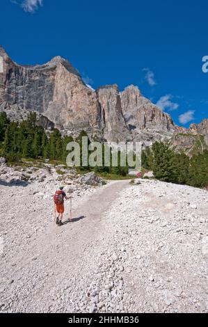 Hiking in Vajolet Valley with view of Catinaccio mountains group and Vajolet Towers, Trento, Trentino-Alto Adige, Italy Stock Photo