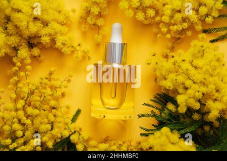 Face oil in glass bottle surrounded by blooming mimosa plant with yellow flowers on yellow paper background. Gifts for international womens day spring Stock Photo