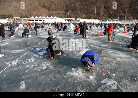 January 5, 2019-Hwacheon, South Korea-Visitors cast lines through holes drilled in the surface of a frozen river during a trout catching contest in Hwacheon, South Korea. The contest is part of an annual ice festival which draws over one million visitors every year. Stock Photo