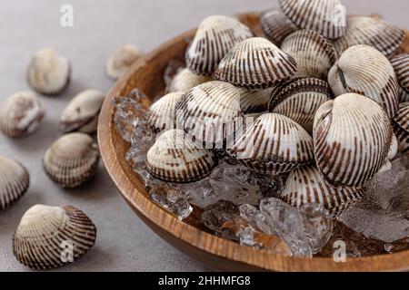 Hard-shelled small sea clams cockle Stock Photo