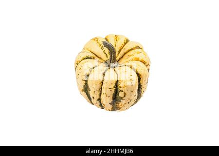 Ripe green pumpkin isolated on white background. Whole squash, traditional festive decorative element for Halloween or Thanksgiving Stock Photo