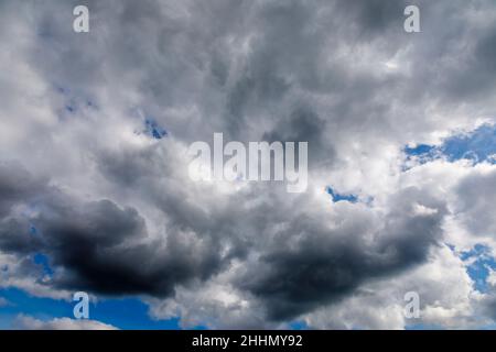 Heavy white and grey clouds gather in front of a blue sky before a rain storm in south-east England. Taken with a wide angle lens at 24mm focal length Stock Photo