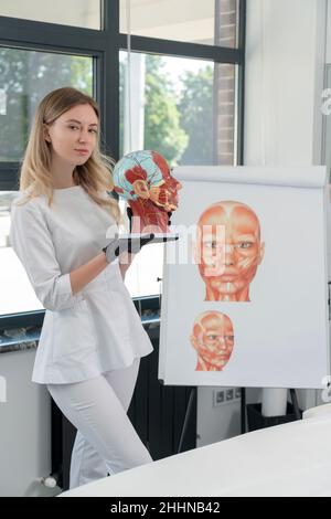 Cosmetologist holding anatomical artificial model of head in cometology clinic. Maquette of face for doctor use Stock Photo