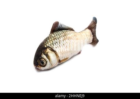toy fish isolated on the white Stock Photo