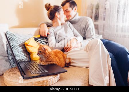 Young family couple relaxing watching video online with cat using laptop at home. Ginger pet sitting on couch looking at screen. Curious animal intere Stock Photo