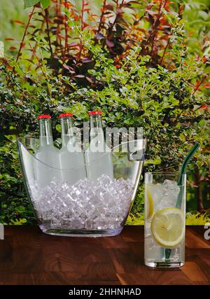 Vodka lemonade, a ready-to-drink cocktail, on garden background. Concept of a to-go cocktail. Stock Photo