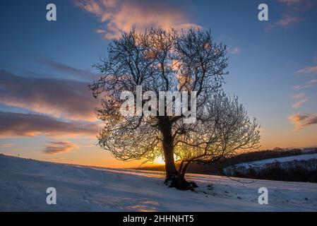Sunrise over snow covered countryside in Scotland. Stock Photo