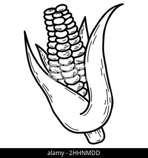 Corn linear icon. Maize. Agriculture. Thin line illustration. Contour ...
