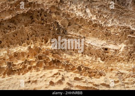 Surface sandy rock. Rocky shore of the Caspian Sea. Stock Photo