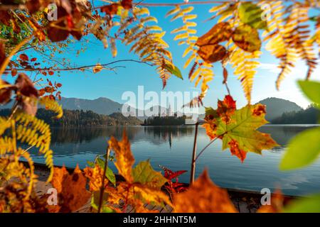 The famous Alpine Lake Bled (Blejsko jezero) in Slovenia, an amazing autumn landscape. Fabulous view of the lake, island with church, Bled Castle Stock Photo