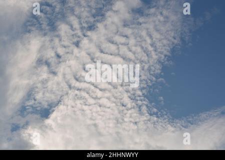 Backgrounds - variety of white clouds on blue sky - book covers, posters. Beautiful Stock Photo