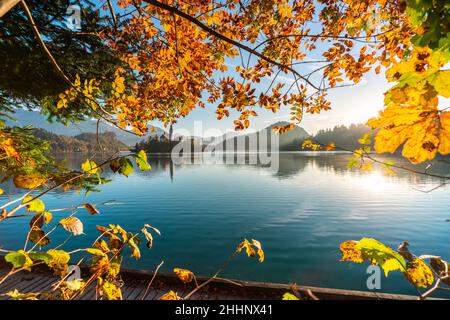 The famous Alpine Lake Bled (Blejsko jezero) in Slovenia, an amazing autumn landscape. Fabulous view of the lake, island with church, Bled Castle Stock Photo