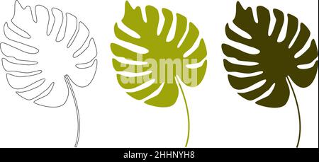 Tropical leaves. Floral background. Monstera leaves highlighted on a white background. Vector illustration. Stock Vector