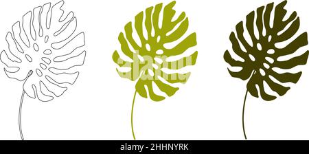 Tropical leaves. Monstera leaves are highlighted on a white background. Illustration design of a vector template of monstera leaves. Stock Vector
