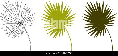 Vector palm branch. Tropical leaves. Isolated exotic design. Stock Vector
