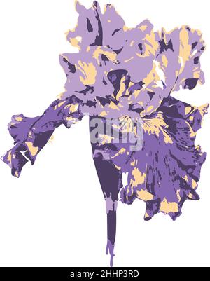 Vector illustration of iris flower. Hand drawn isolated iris flower. Stock Vector