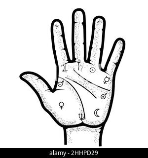 palmistry hand drawing clipart