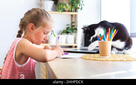 Child writing or drawing in notebook. A black and white cat disturb girl from doing her homework. Caucasian cute girl doing homework at home, next to Stock Photo