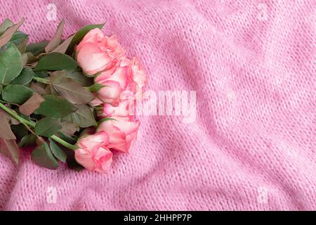 Beautiful pink roses on cozy pastel pink knitted woolen blanket, top view with copy space, mockup Stock Photo