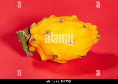 yellow dragon fruit on red background Stock Photo