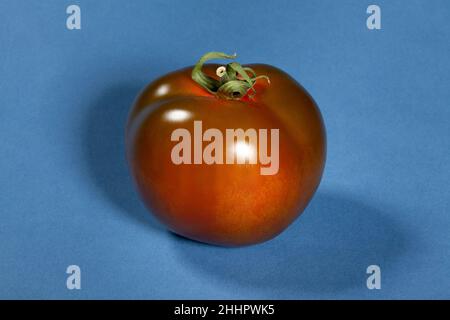 kumato tomato on blue background Stock Photo