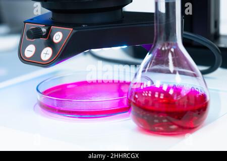 Round flask with colored liquid or blood sampleon the table in a modern laboratory with a microscope on the background. Stock Photo
