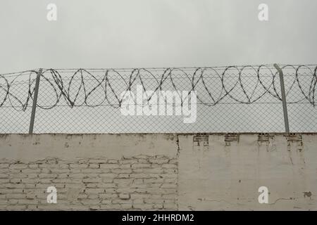 barbed wire on a concrete wall Stock Photo