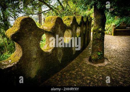 Stone garden path through lush green foliage along a medeival wall on the Santa Maria trail in Sintra, Portugal Stock Photo