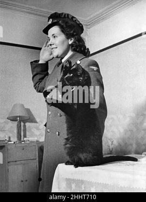 In 1940 Smoky ithe cat was rescued after an air raid during  blitz. Miss Ann Twynam of Paddington took him home, and nursed him back to health. She has taught Smoky to salute, and now whenever service friends visit, Smoky loves to do his saluting turn, pictured 3rd February 1943. *** Local Caption *** P002213 Stock Photo