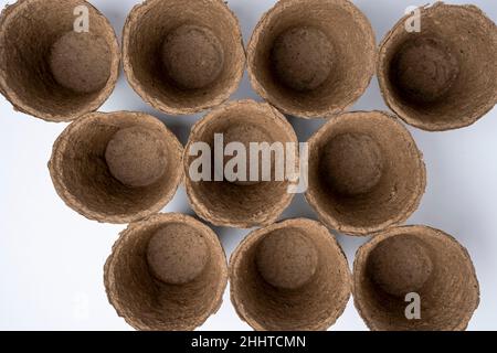 top view of a lot of empty peat pots for seedlings on a white background. Stock Photo