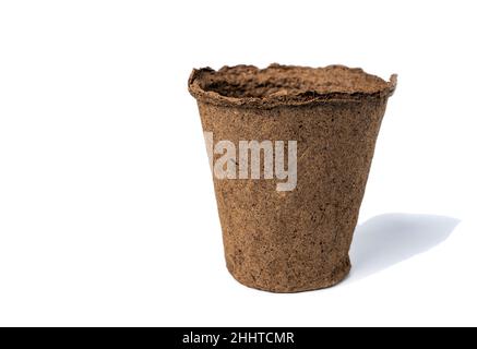 an empty peat pot for seedlings isolated on a white background. Stock Photo