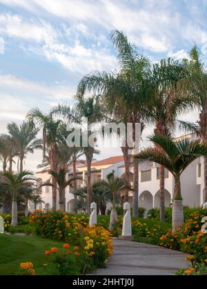 alleyway in hotel with beautiful trees for tourists Stock Photo