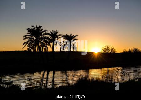The sun is setting behind palm trees on the riverside in front of a green field Stock Photo